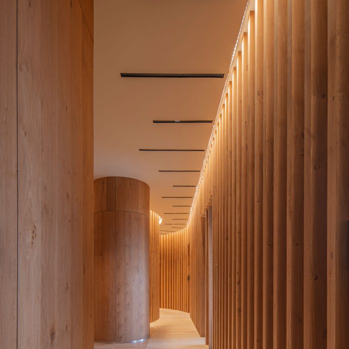 Vigoris-Capital---Dust-Architects---Alta-11