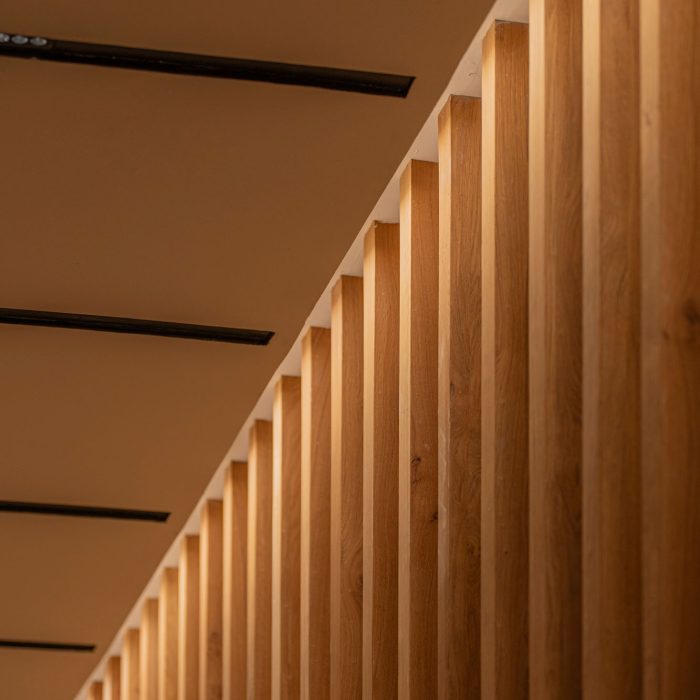 Vigoris-Capital---Dust-Architects---Alta-121