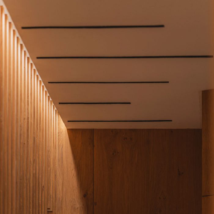 Vigoris-Capital---Dust-Architects---Alta-129