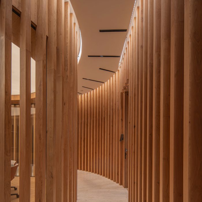 Vigoris-Capital---Dust-Architects---Alta-13