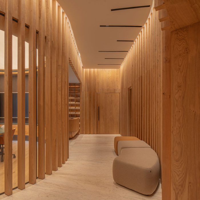 Vigoris-Capital---Dust-Architects---Alta-53